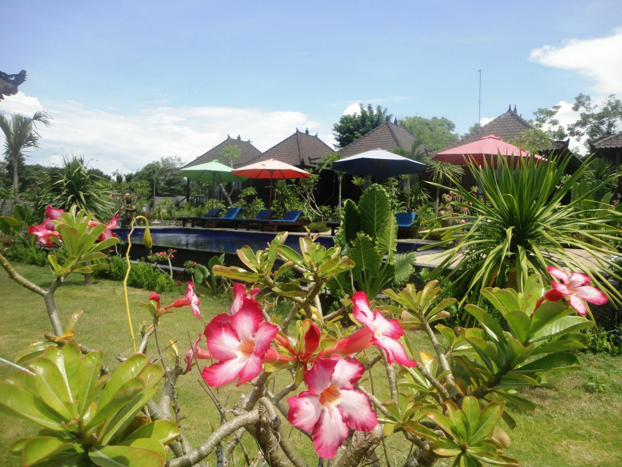 Dream Beach Berlian Nusa Lembongan  Bagian luar foto